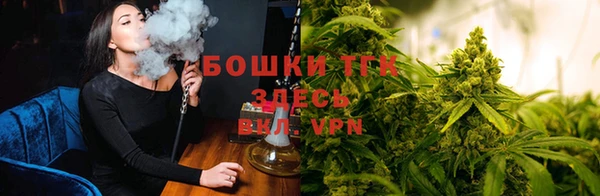 прущая мука Магас