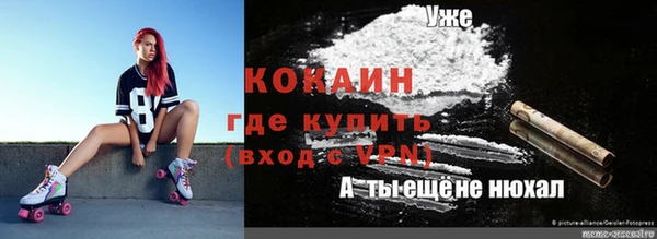 твердый Мегион