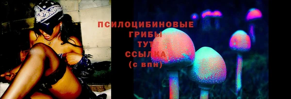 прущие крисы Медногорск