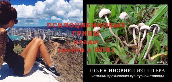 прущие крисы Медногорск