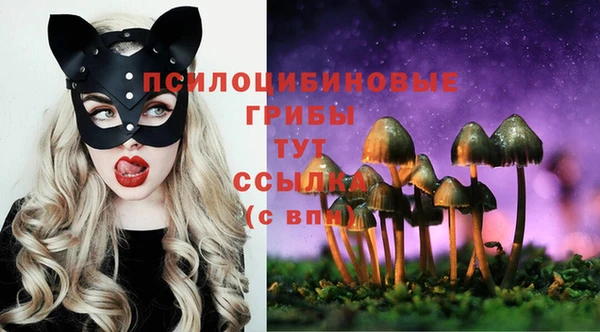 прущая мука Магас