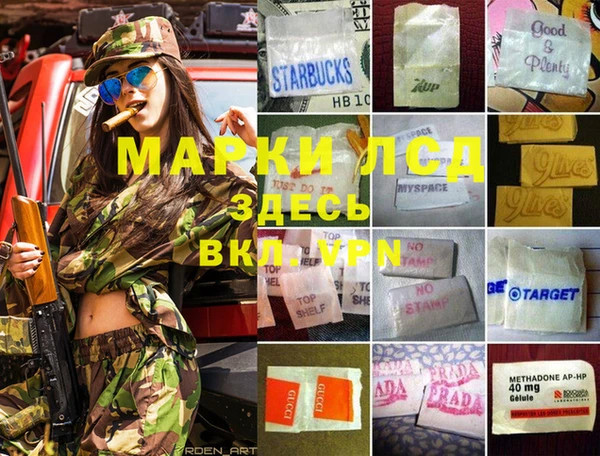 гидропоника Медвежьегорск