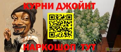 Альфа ПВП Бийск