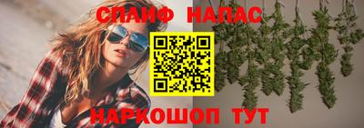 Альфа ПВП Бийск