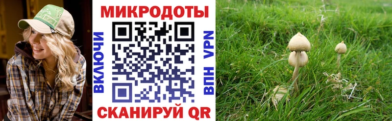 Галлюциногенные грибы мухоморы  купить наркоту  Химки 