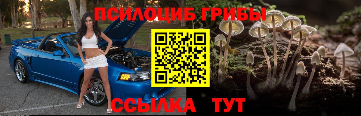 Псилоцибиновые грибы ЛСД  Вход с VPN  Химки 