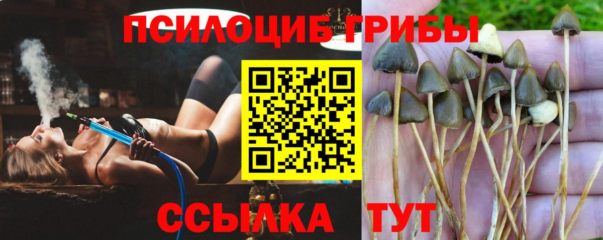 Галлюциногенные грибы мухоморы Химки